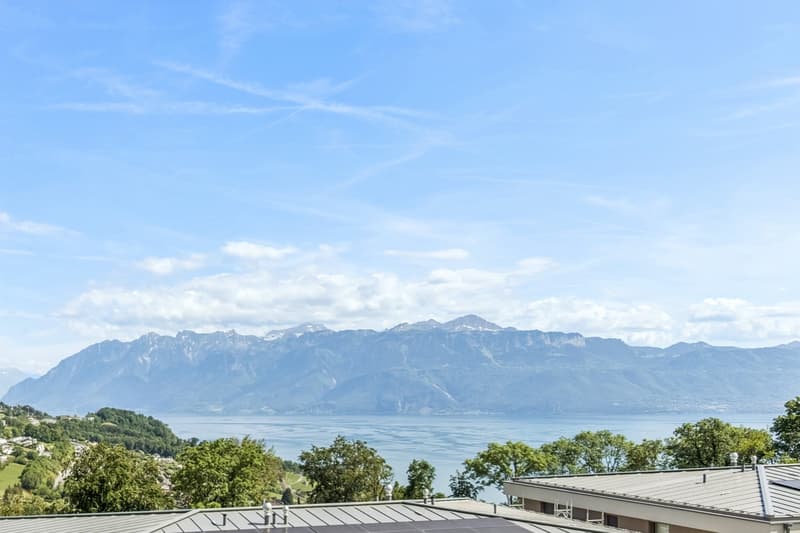 Un panorama d'exception sur le Léman à la Croix-sur-Lutry (1)