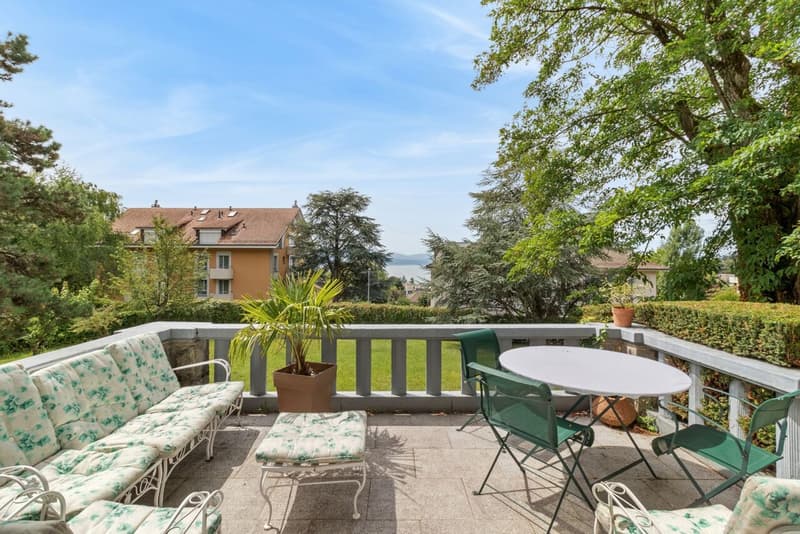 Superbe appartement avec grand jardin - Joli dégagement sur le lac (1)