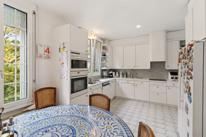 Superbe appartement avec grand jardin - Joli dégagement sur le lac (7)