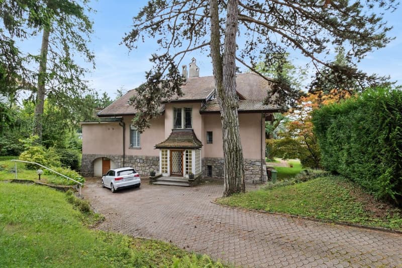 Superbe appartement avec grand jardin - Joli dégagement sur le lac (11)