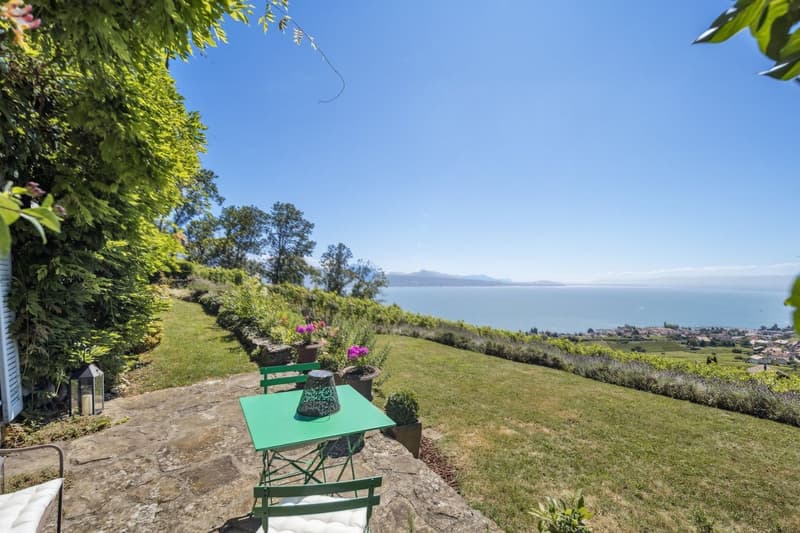 Au coeur des vignes, une maison vigneronne d'exception face au Léman (1)