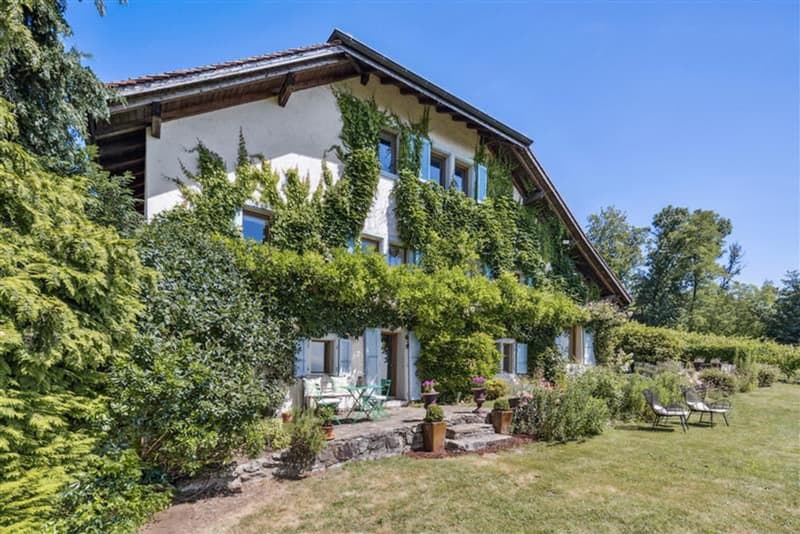 Au coeur des vignes, une maison vigneronne d'exception face au Léman (2)
