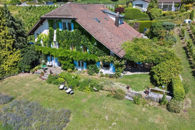 Au coeur des vignes, une maison vigneronne d'exception face au Léman (3)