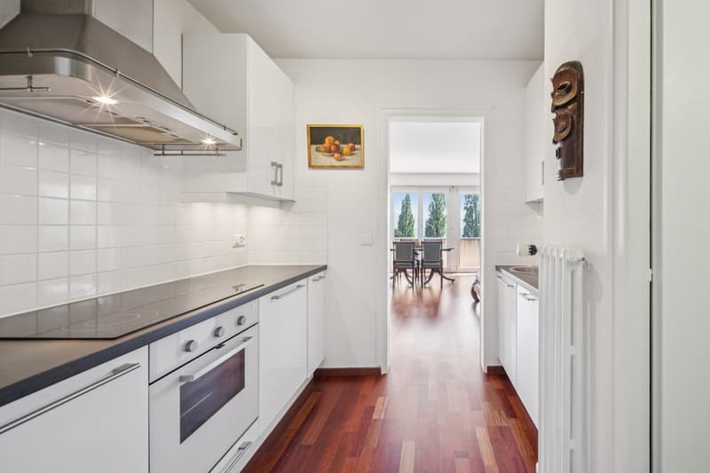 Appartement à deux pas du lac dans le Lavaux! (8)