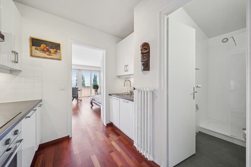Appartement à deux pas du lac dans le Lavaux! (9)