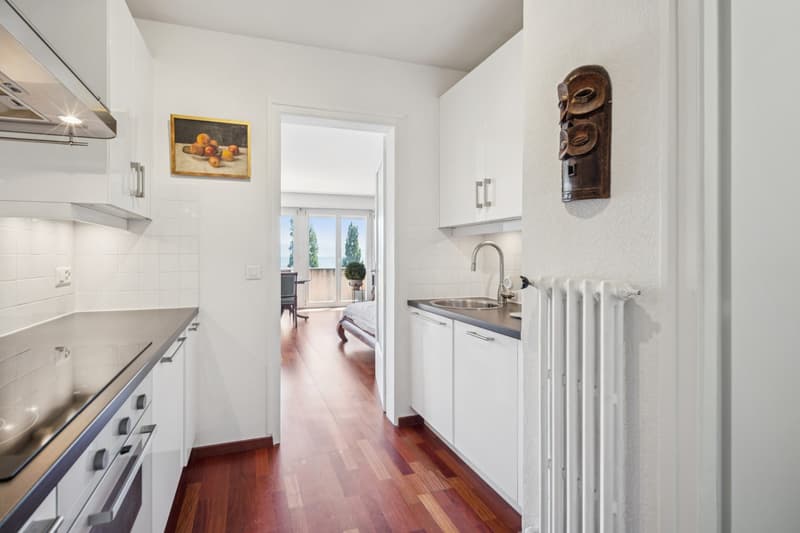 Appartement à deux pas du lac dans le Lavaux! (7)