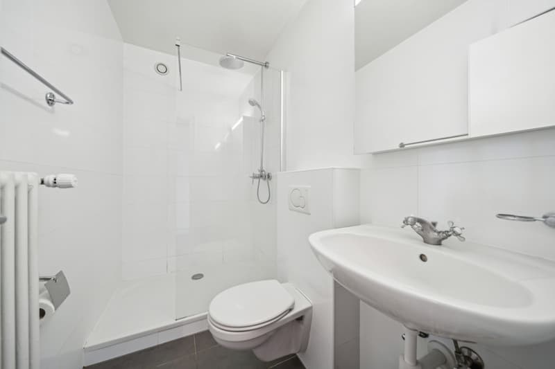 Appartement à deux pas du lac dans le Lavaux! (10)