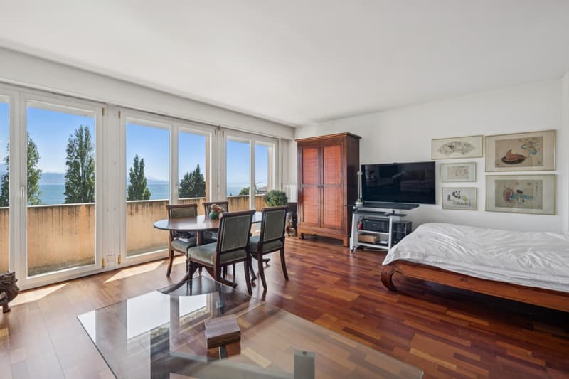 Appartement à deux pas du lac dans le Lavaux! (5)