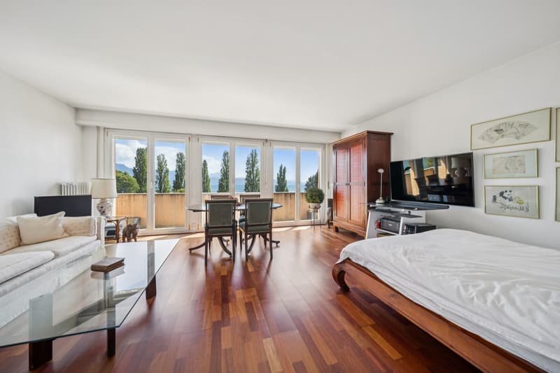 Appartement à deux pas du lac dans le Lavaux! (4)
