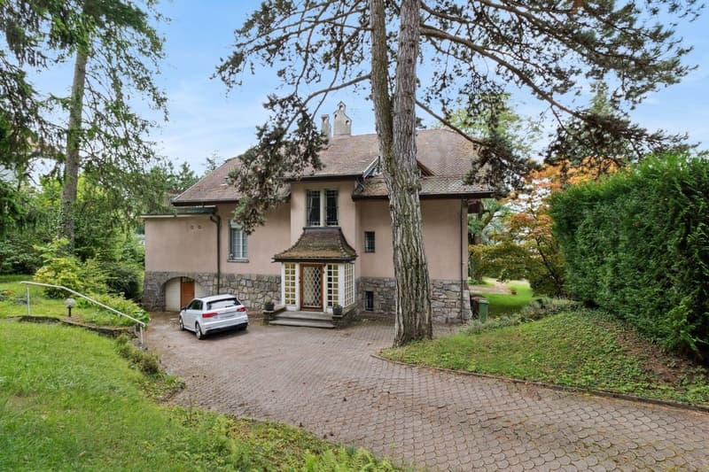 Superbe appartement avec grand jardin - Très jolie vue sur le lac (11)