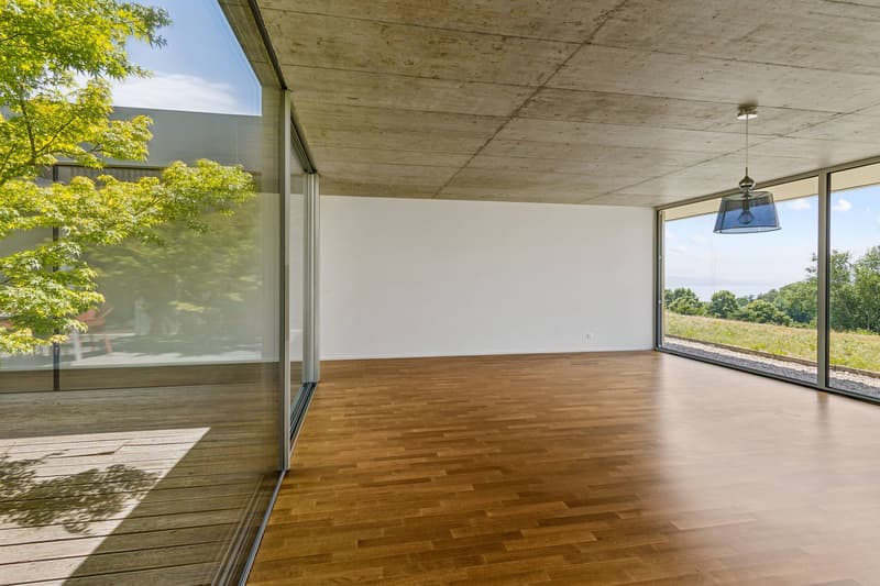 Entre architecture contemporaine, patio privé et panorama sur le Léman (13)