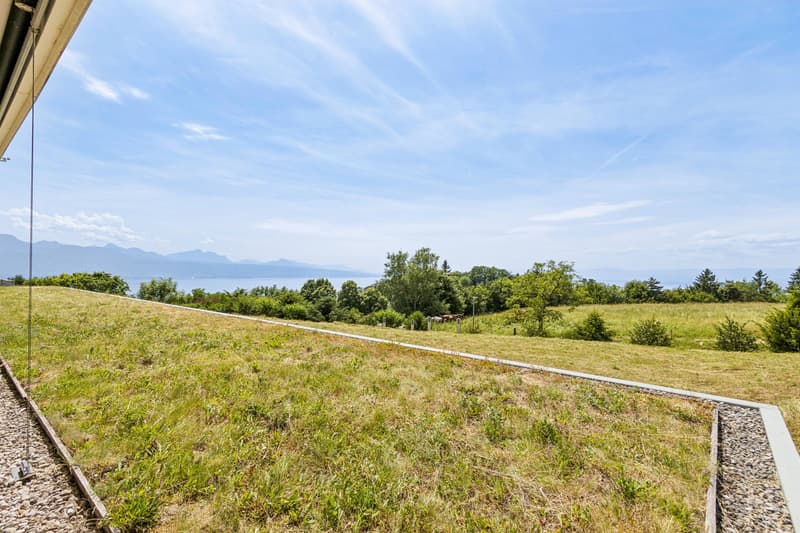 Entre architecture contemporaine, patio privé et panorama sur le Léman (3)