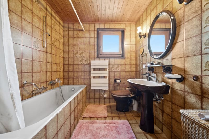Maison familiale de 6 pièces sur une généreuse parcelle (12)
