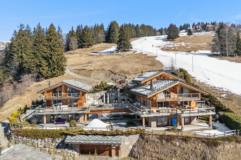 The Pearl Domain - The essence of alpine life (2)