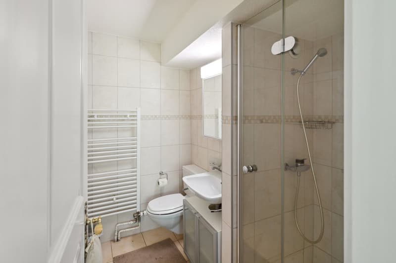 Splendide double appartement rénové avec piscine intérieure (9)
