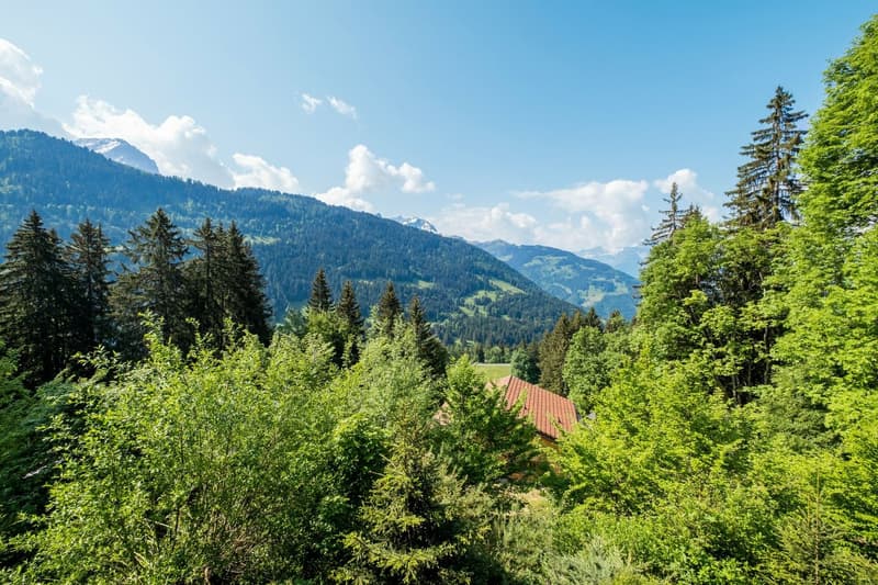 Chalet Rose: A green haven of peace in La Barboleuse (7)