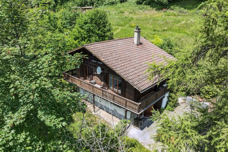 Family chalet with 5 bedrooms at the entrance of Villars-sur-Ollon (3)