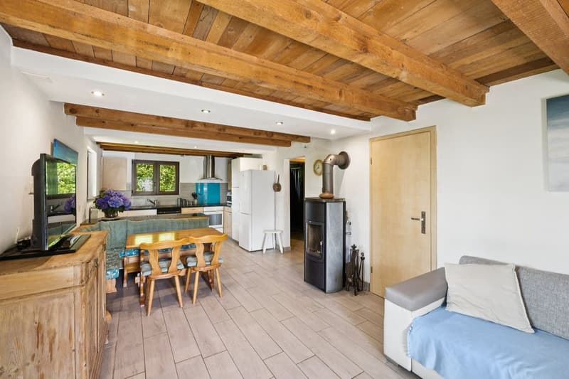 Chalet familiare di 5 camere all'ingresso di Villars-sur-Ollon (4)
