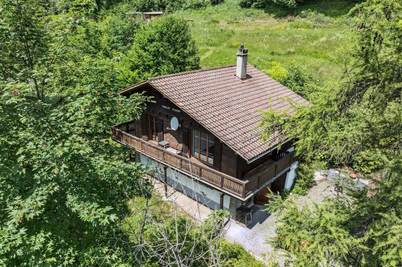 Chalet familiare di 5 camere all'ingresso di Villars-sur-Ollon (3)