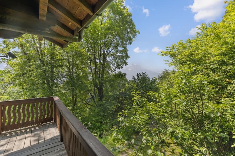 Chalet familiare di 5 camere all'ingresso di Villars-sur-Ollon (6)