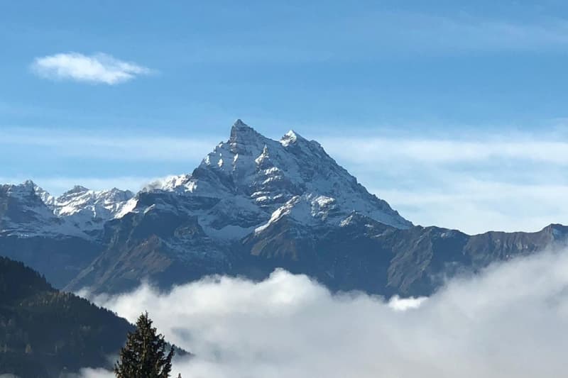 Spacious chalet with heated pool and breathtaking view of the Alps (8)