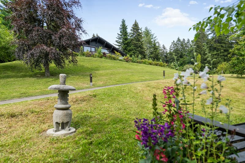 Spacious chalet with heated pool and breathtaking view of the Alps (7)