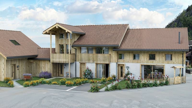 Maison villageoise de standing - Projet NEUF (12)