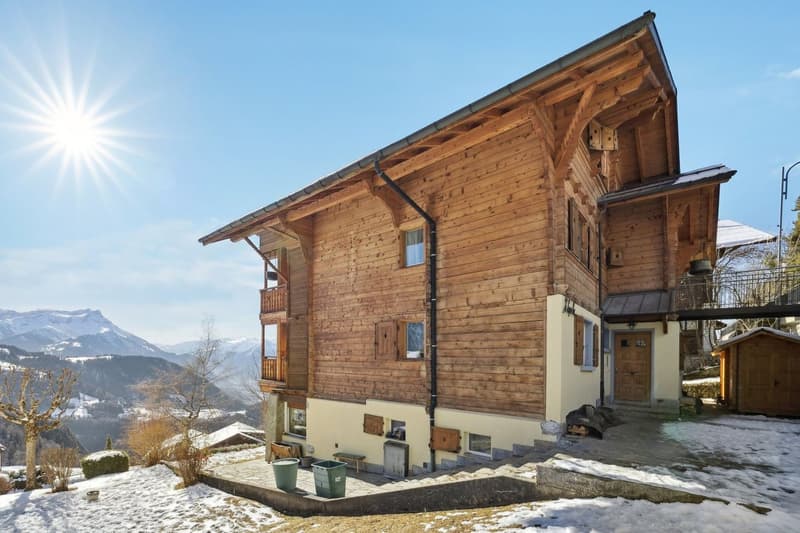 Splendide attique rénové - Vue imprenable sur les Alpes (2)