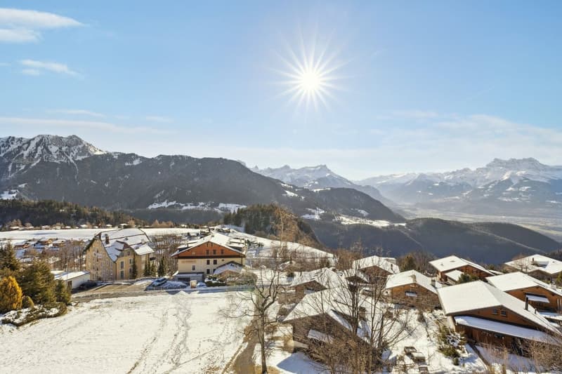 Splendide attique rénové - Vue imprenable sur les Alpes (3)