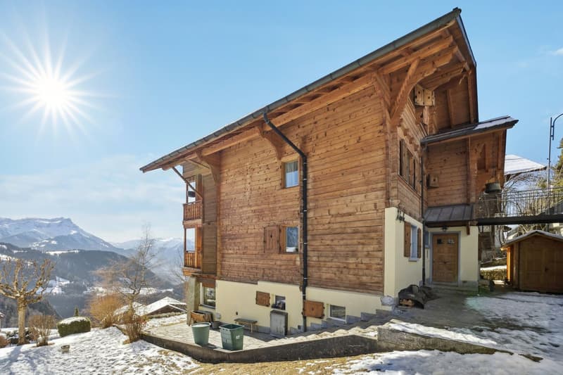 Splendid renovated attic - Breathtaking view of the Alps (2)