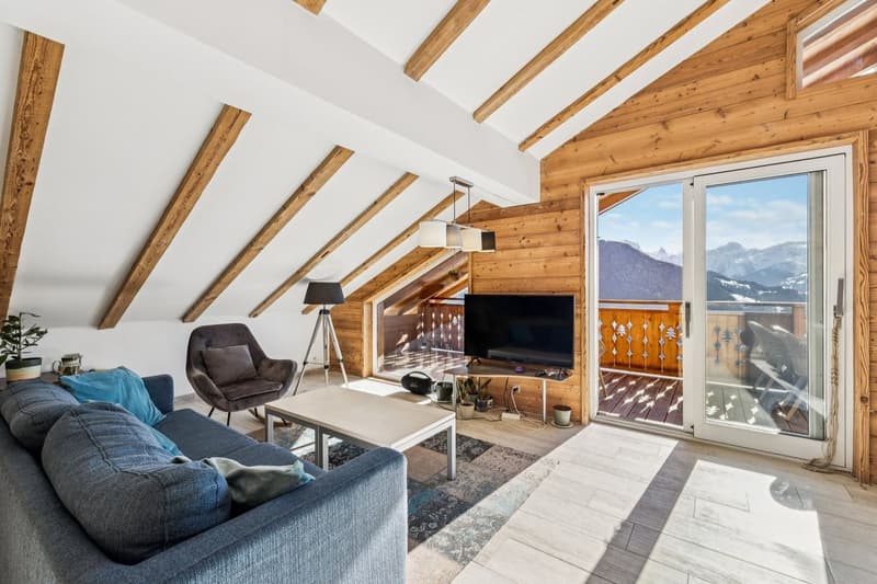Splendide attique rénové - Vue imprenable sur les Alpes (5)