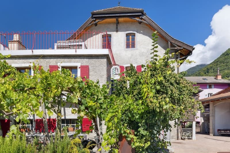 Rare! dans le village d'Ollon authentique maison vigneronne & anne (5)