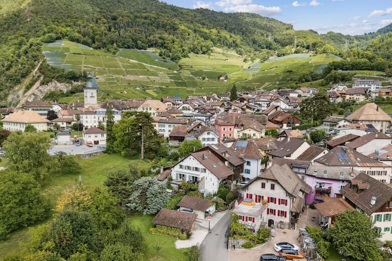 Selten! im authentischen Dorf Ollon, Winzerhaus & Anbau (3)