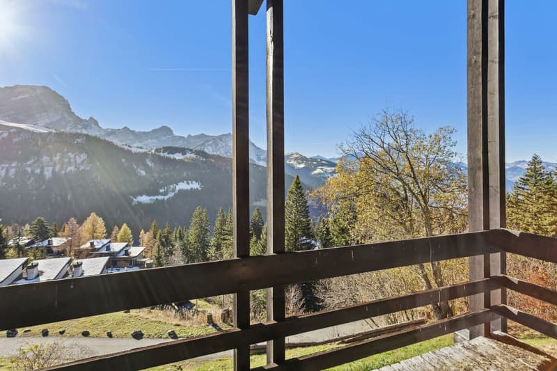 Semi-detached chalet in triplex with 4 bedrooms, located 200m from the ski lift (3)