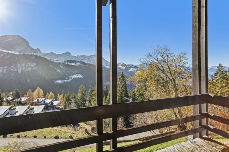 Chalet mitoyen in triplex, 4 camere da letto, situato a 200m dalla seggiovia (3)
