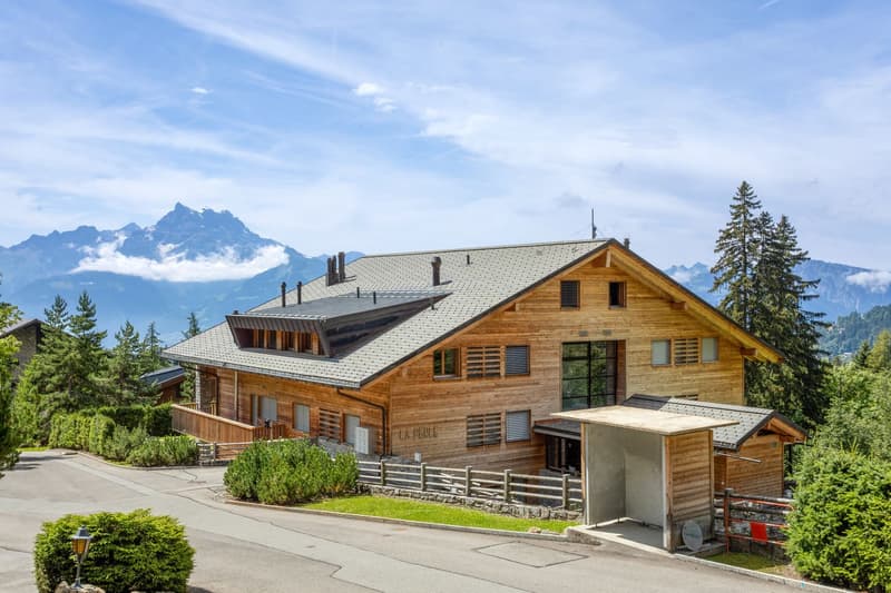 Superb 4-bedroom Duplex, Home Cinema, Garden, Ski In-Out (11)