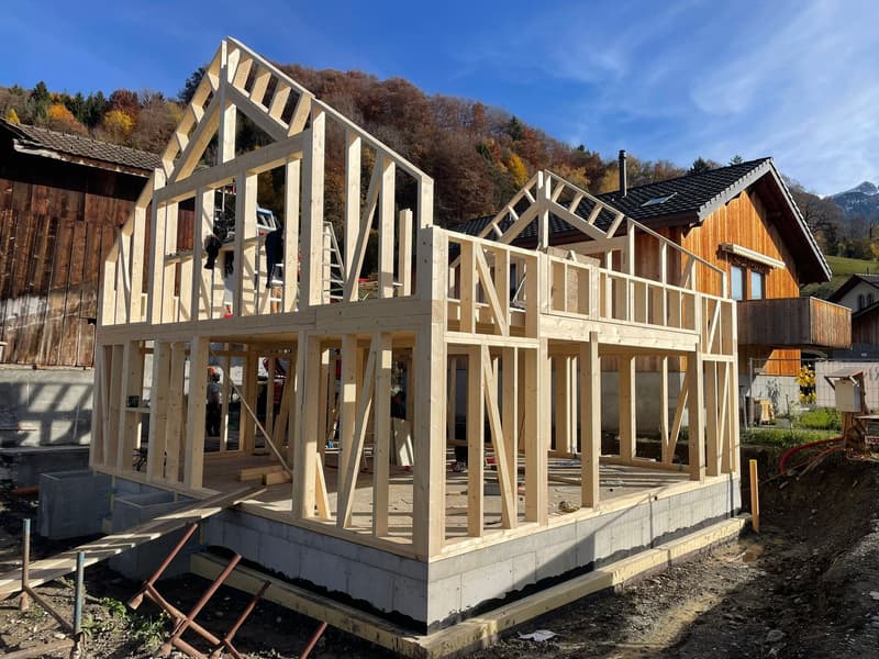 Case di villaggio di alta qualità a Fenalet-sur-Bex (3)