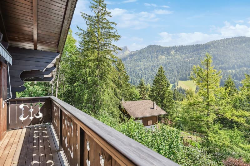 Chalet Muir Woods - green surroundings, close to transport (5)