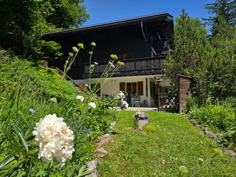Chalet Muir Woods - green surroundings, close to transport (3)