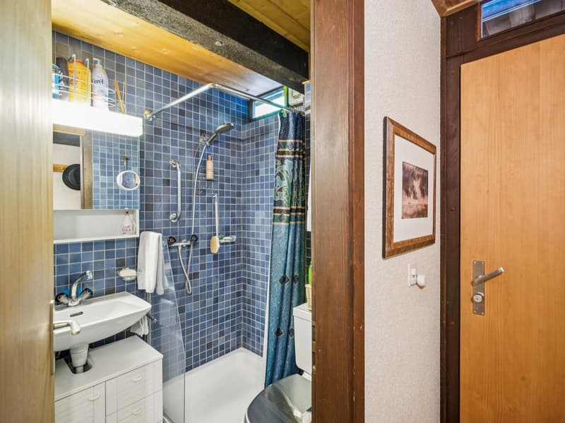 Alpe des Chaux - Duplex 2 bedrooms + mezzanine, panoramic view (11)