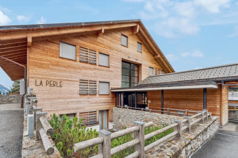 Villars, lussuoso 6 locali contemporaneo, giardino, 2 parcheggi, ski in/ski out (3)