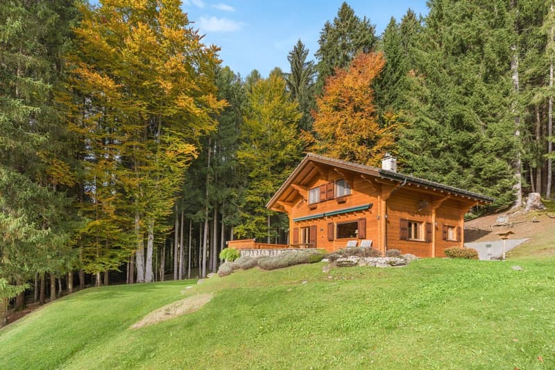 Chalet "Au Paradis" - A Haven of Peace in the Heart of Nature (3)