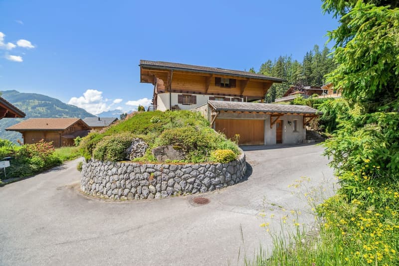 Spacious family chalet, billiard room, carnotzet, panoramic view (6)