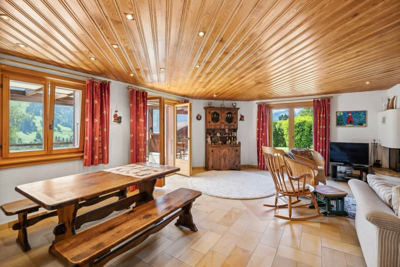 Spacious family chalet, billiard room, carnotzet, panoramic view (3)