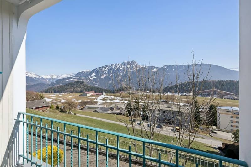 Splendid 4-bedroom duplex with private garden (9)