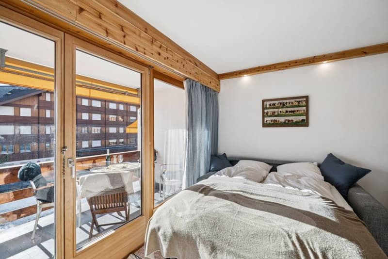 Améthyste 10 - Renovated apartment with balcony in Roche Grises (8)