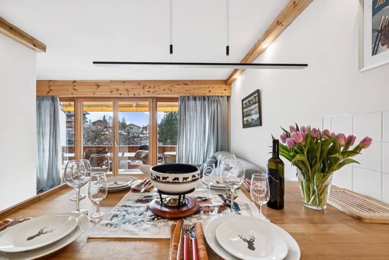 Améthyste 10 - Renovated apartment with balcony in Roche Grises (10)