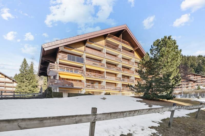 Améthyste 10 - Appartamento ristrutturato con balcone a Roche Grises (2)