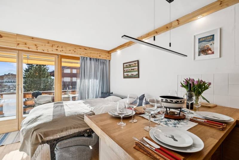 Améthyste 10 - Appartement rénové avec balcon aux Roche Grises (5)