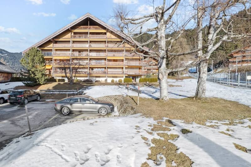 Améthyste 10 - Renovated apartment with balcony in Roche Grises (9)